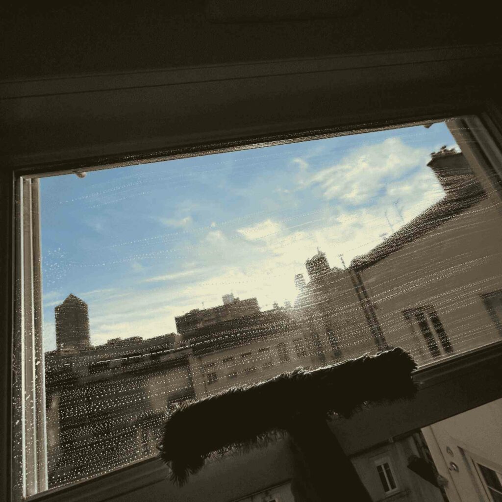 nettoyage vitres lyon 10 11zon